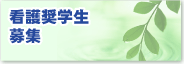 �Ō쏧�w����W